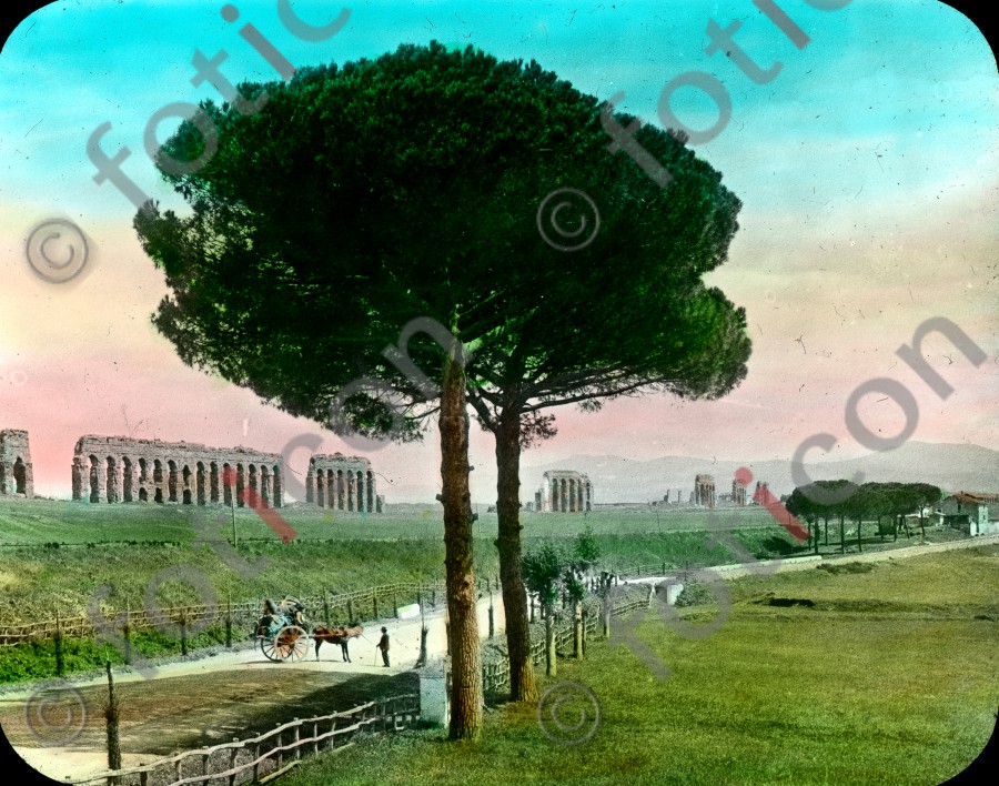 Via Appia | Appian Way - Foto foticon-simon-035-017.jpg | foticon.de - Bilddatenbank für Motive aus Geschichte und Kultur
